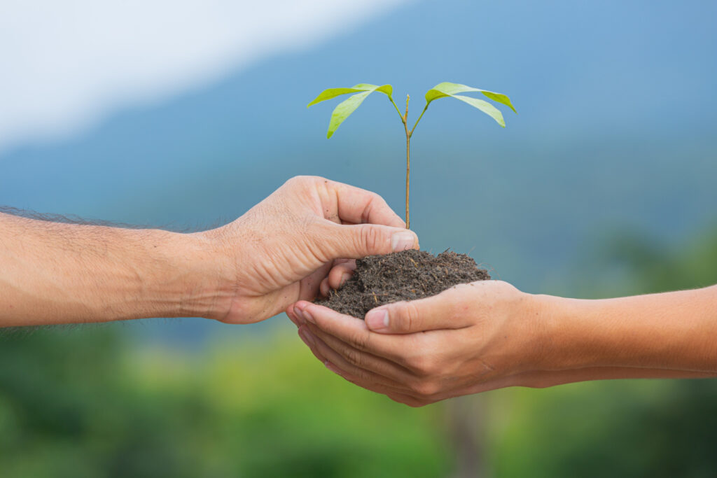 Logística Reversa ecologika muda